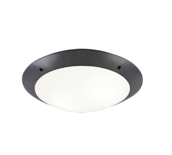 Stropné osvetlenie Reality Camaro antracit R60502042