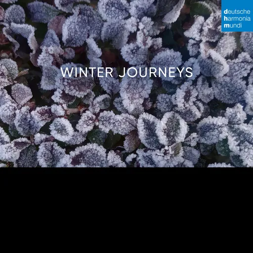 Lautten Compagney, Lautten Compagney & Wolfg - Winter Journeys CD, CD