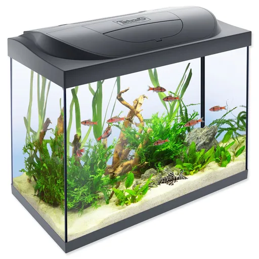 Tetra Starter Line LED 80 l