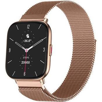 WowME Watch TS rose-gold s remienkom milánsky ťah (TS17P rose-gold milanese)