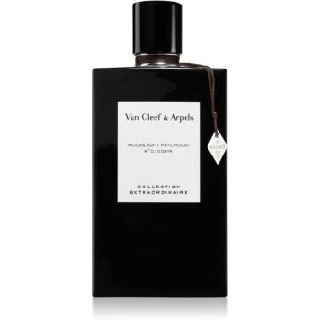 Van Cleef & Arpels Collection Extraordinaire Moonlight Patchouli parfumovaná voda unisex 75 ml