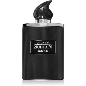 Luxury Concept Tippu Sultan Intense parfumovaná voda pre mužov 100 ml