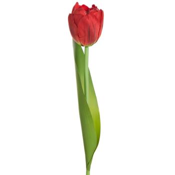 ArtFir Umelý tulipán NATU 475 | červená 37 cm