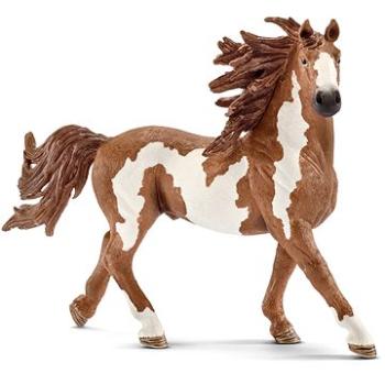 Schleich 13794 - Žrebec Pinto (4005086137943)