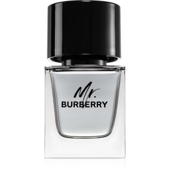 Burberry Mr. Burberry toaletná voda pre mužov 50 ml