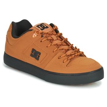 DC Shoes  PURE WNT  Nízke tenisky Hnedá