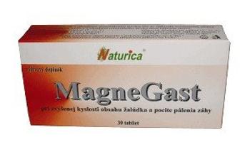 MagneGast 30tbl