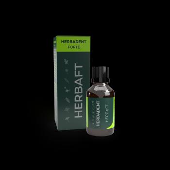 HERBADENT Forte Herbaft Bylinná tinktúra 25 ml