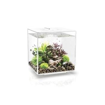 biOrb Cube 30 MCR biele (822728720226)