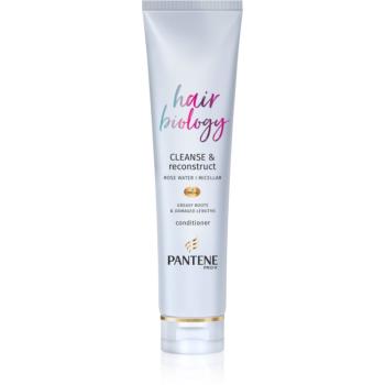 Pantene Hair Biology Cleanse & Reconstruct kondicionér pre mastné vlasy 160 ml