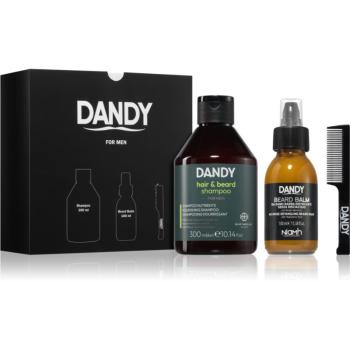 DANDY Beard gift box set cadou pentru barbă