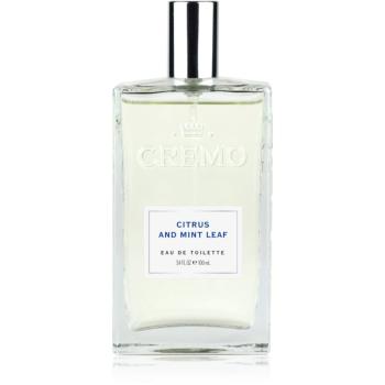 Cremo Spray Cologne Citrus & Mint Leaf toaletná voda pre mužov 100 ml