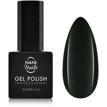 NaniNails NANI Professional gélový lak na nechty odtieň Dream Winter Night 6 ml