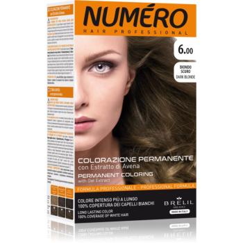 Brelil Professional Permanent Coloring farba na vlasy odtieň 6.00 Dark Blonde 125 ml