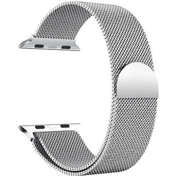 Eternico Elegance Milanese pre Apple Watch 38mm / 40mm / 41mm strieborny (AET-AWMMS25S-38)