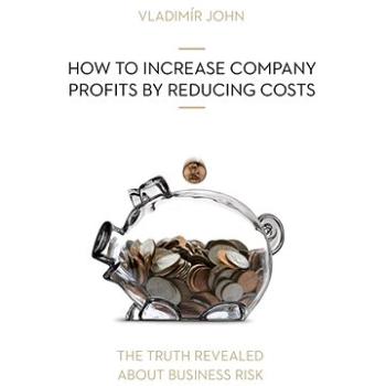 HOW TO INCREASE COMPANY PROFITS BY REDUCING COSTS