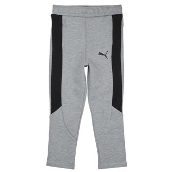 Puma  EVOSTRIPE CORE PANTS  Tepláky/Vrchné oblečenie Šedá