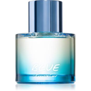 Kenneth Cole Blue toaletná voda pre mužov 100 ml