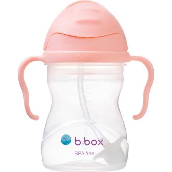 B.Box Gelato Cup hrnček s rúrkou Tutti Frutti 6m+ 240 ml