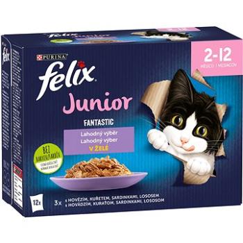 FELIX Fantastic Junior s kuraťom želé Multipack 12× 85 g (7613039776810)