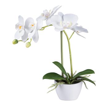 Gasper Umělá orchidej v bílém květináči, bílá, 33 cm