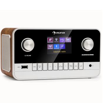 Auna Connect 100 MKII, Internetové rádio, Media Player, Bluetooth, DAB/DAB+, ovládanie aplikáciou 