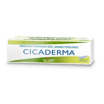 CICADERMA Dermálna masť 30 g