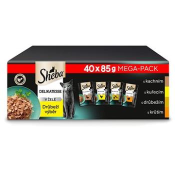 Sheba kapsičky hydinový výber v želé pre dospelé mačky 40× 85 g (4770608259242)