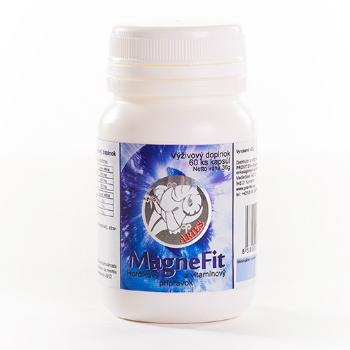 Magnefit - horčík a riboflavín