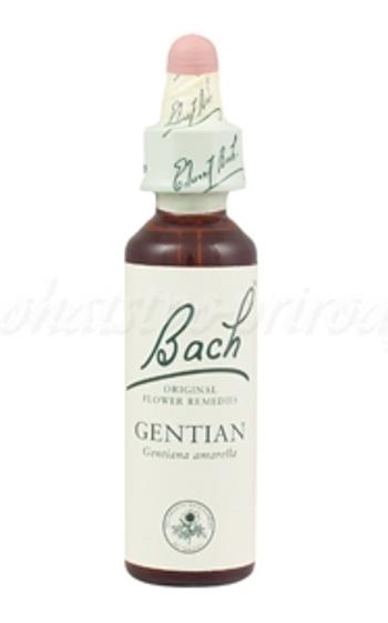 Gentian - Horček horský 20 ml - bachove kvapky