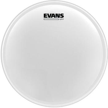 Evans BD20UV1 UV Coated1 Coated 20" Blana na bubon