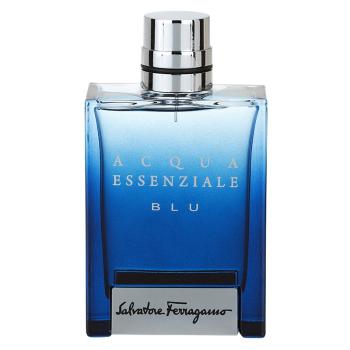 Ferragamo Acqua Essenziale Blu toaletná voda pre mužov 100 ml