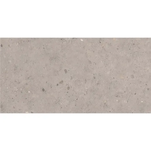 Dlažba Pastorelli Biophilic grey 60x120 cm mat P009415