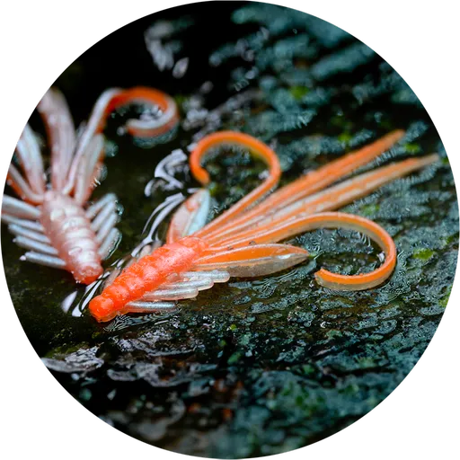 Redbass gumová nástraha nymfa orange/silver uv - s 53 mm