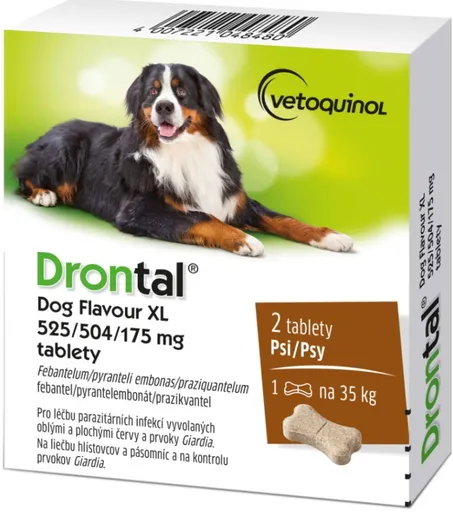 DRONTAL DOG FLAVOUR 35kg tablety na odčervenie pre psy 2tbl