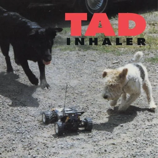 Tad: Inhaler LP