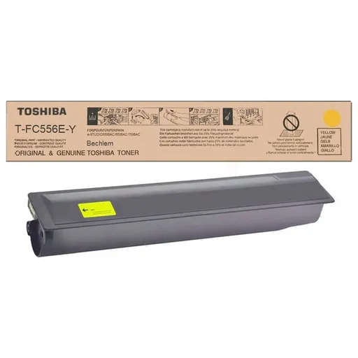 TOSHIBA 6AK00000362 - originálny