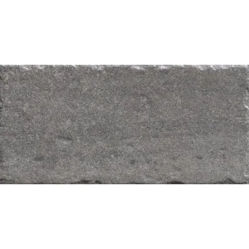 Dlažba Cir Reggio Nell´Emilia rosta nuova 20x40 cm mat 1059358