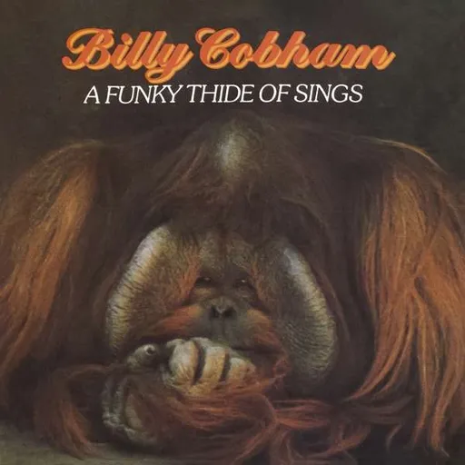 Billy Cobham, Cobham Billy: A Funky Thide of Sings CD, CD