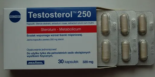 Testosterol 250 - Megabol 30 kaps