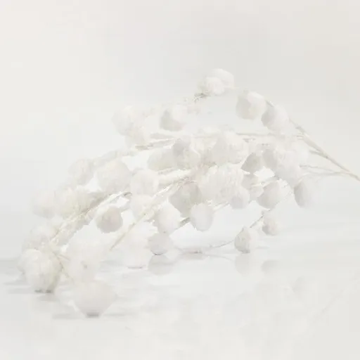 Eurolamp Vianočné dekorácie biela vetvička, 105 cm, 1 ks