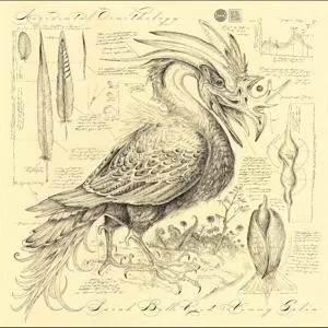 Sarah Belle Reid, ACCIDENTAL ORNITHOLOGY, CD