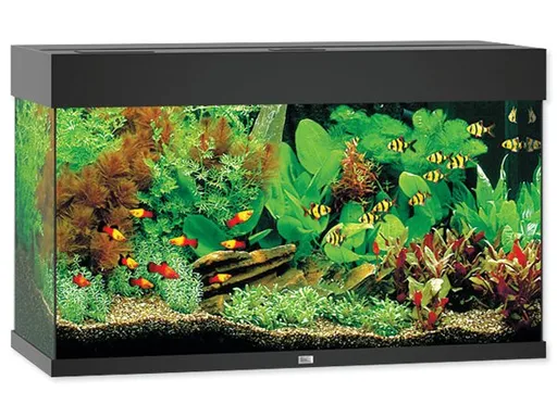Akvarijný set Juwelt Rio LED 125 čierny 81x36x50cm 125l