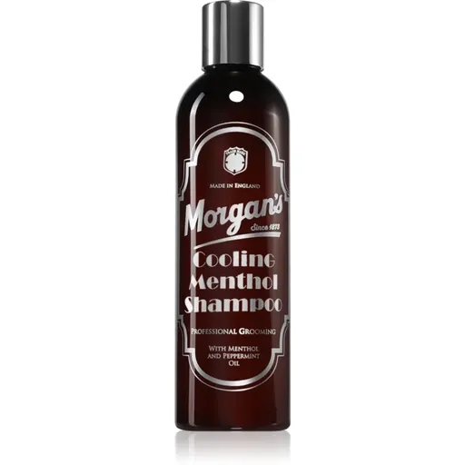 Morgan's Cooling Menthol Shampoo povzbudzujúci mentolový šampón na vlasy a pokožku hlavy pre mužov 250 ml