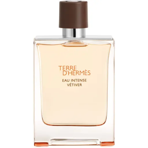HERMÈS Terre d’Hermès Eau Intense Vétiver parfumovaná voda pre mužov 100 ml