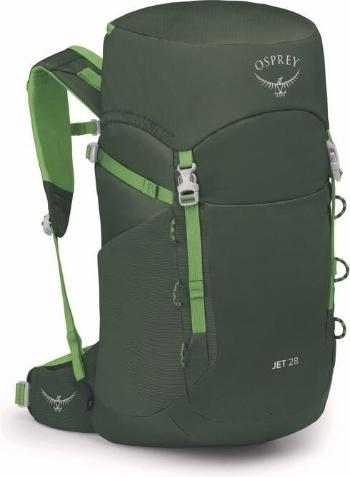 Osprey Jet 28 Green Canopy/Limeline Green 28 L Outdoorový batoh