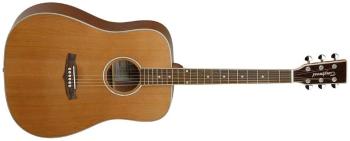 Tanglewood TW28 CSN
