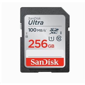 SanDisk SDXC Ultra Lite 256 GB (SDSDUNR-256G-GN3IN)