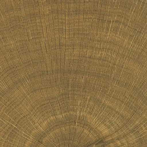 Dlažba Emil W-Circles walnut 10x10 cm mat 00ENJE68