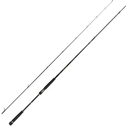 Daiwa prút morethan ags st 10